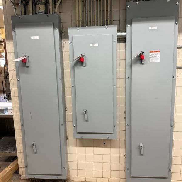 Fused disconnect switches